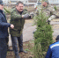 К 80-летию Победы. Ветераны УОО ВООВ «Боевое братство» высадили деревья в новом парке - Общественная палата Ульяновской области
