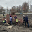 «Горзеленхоз» высаживает новые деревья в сквере Антонова и кустарники у Минаевского моста - Ulyanovsk.Express