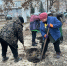 В Ульяновске преобразились дворы благодаря «Народному бюджету» - Городская Дума