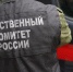 Следователи начали проверку по нападению собаки на 4-летнюю девочку в Ульяновске - Комсомольская правда