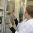Студентка УлГУ разработала препарат для дезинфекции и стала миллионером - Ulpravda.Ru