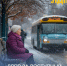 img - ЛДПР