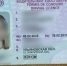 В Ульяновске 22-летняя девушка с фальшивыми правами скрылась с места ДТП - Комсомольская правда