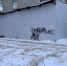 img - ЛДПР