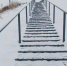 img - ЛДПР