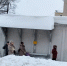 img - ЛДПР
