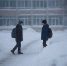 img - ЛДПР