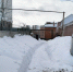 img - ЛДПР