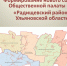 В Радищевском районе началось формирование нового состава Общественной палаты - Общественная палата Ульяновской области
