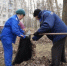 Ульяновцы выйдут на первый весенний общегородской субботник - Ульяновск сегодня